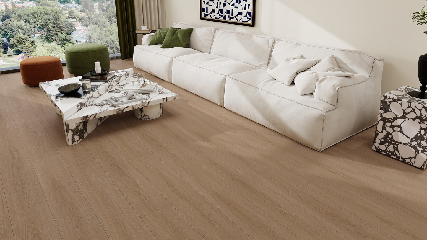 GL6117 博爾貢棕橡