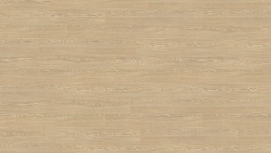 LA170M 洛桑米橡 (EMMA活動)