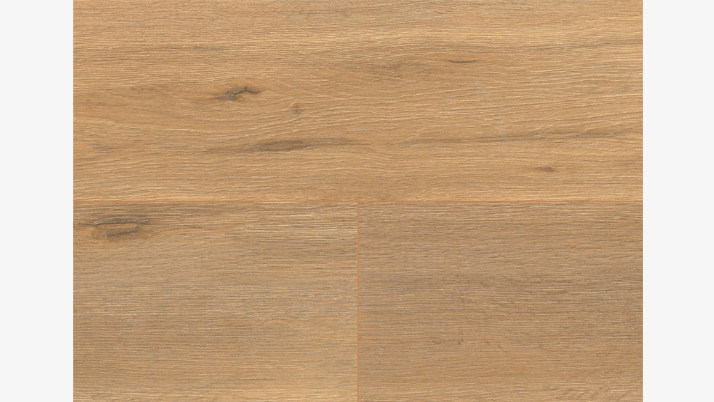 LA186 韋爾特棕橡