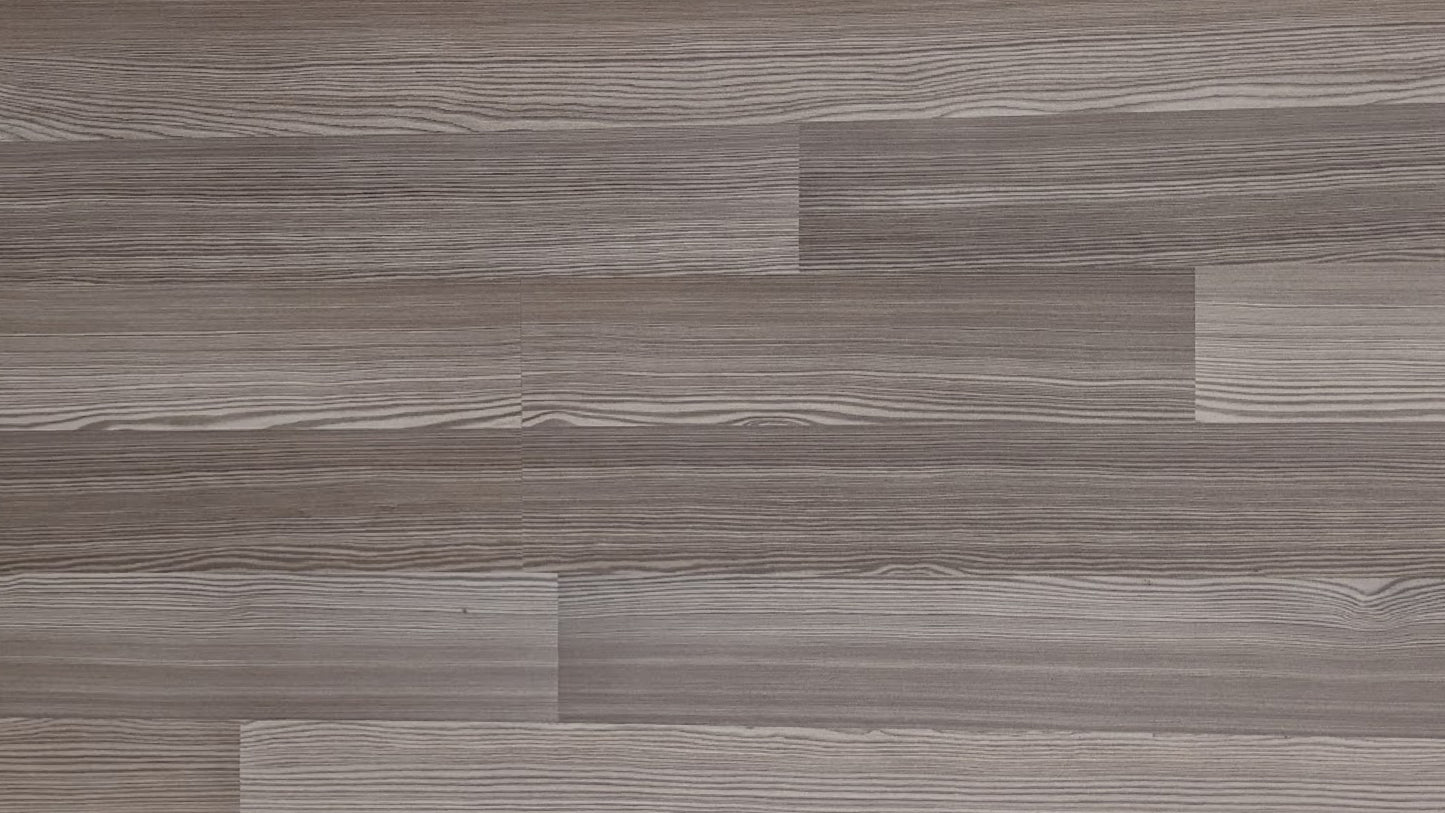 MJ4293 阿爾卑斯灰松