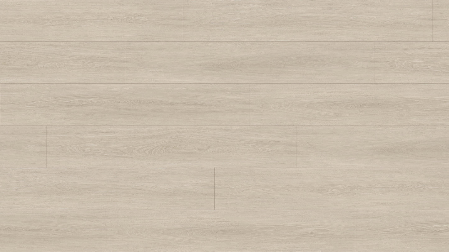 GL6113 伊納里白橡