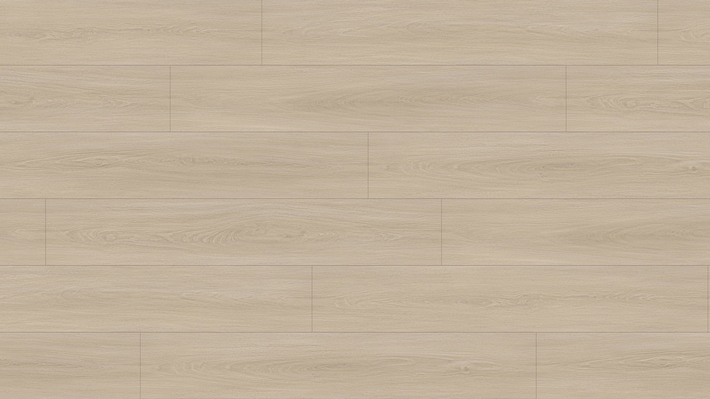 GL6114 溫德爾淺橡