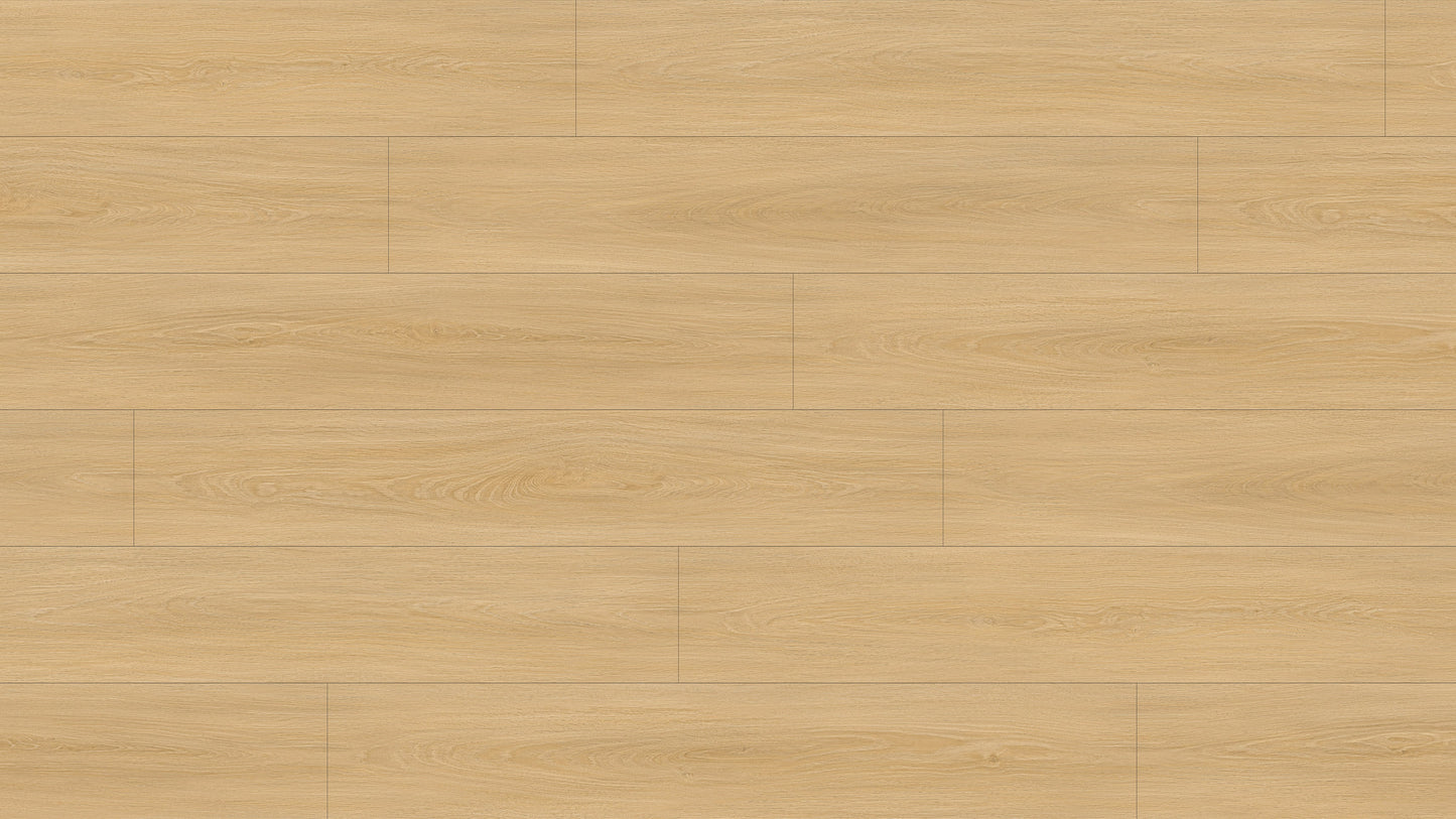 GL6115 斯卡恩米橡