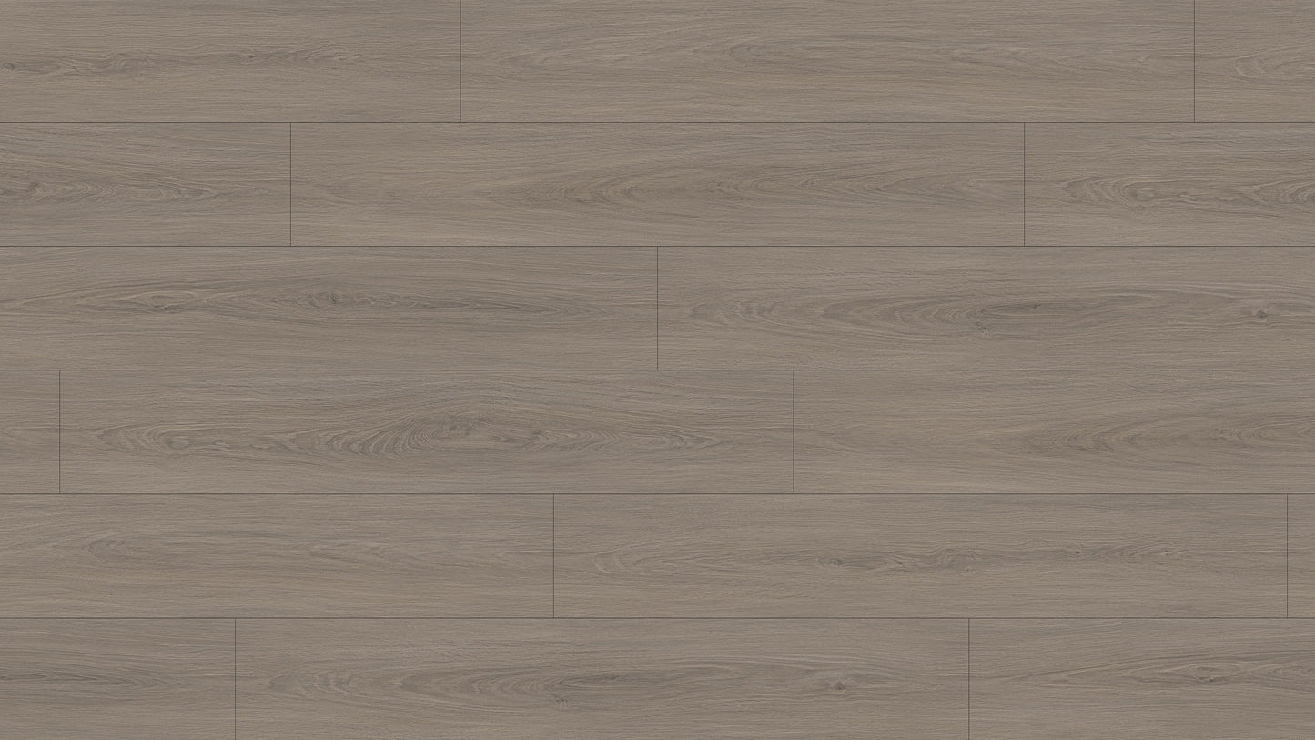 GL6116 雷克雅灰橡