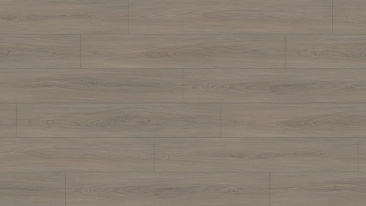 GL6116 雷克雅灰橡