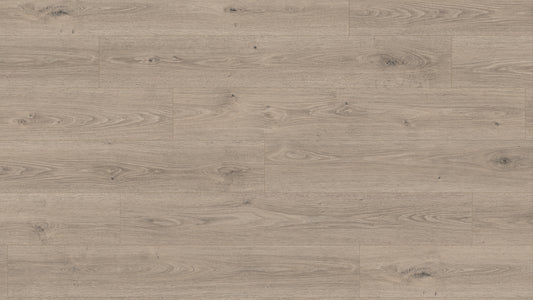 EL2184 特雷維索灰橡